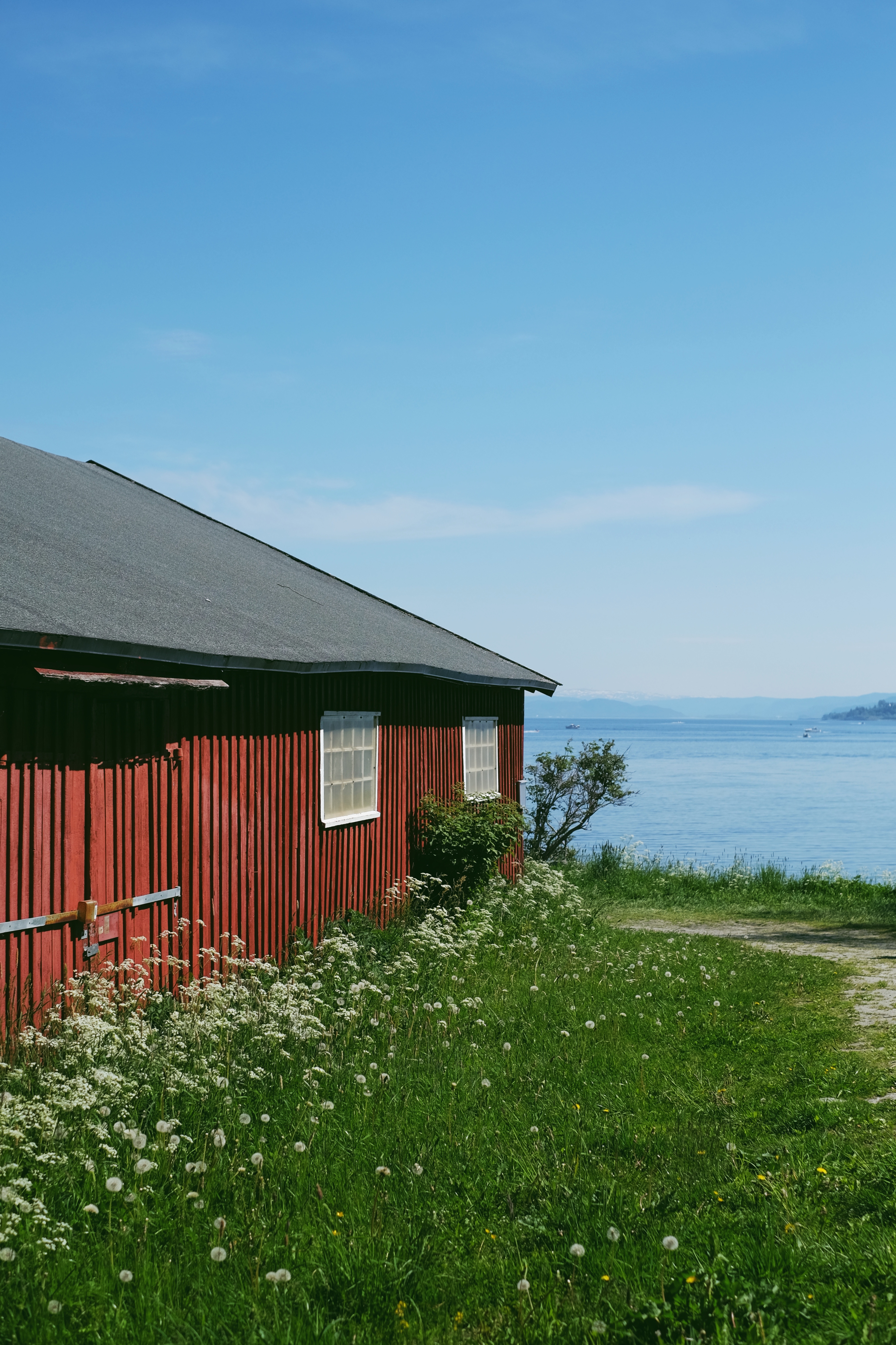 A red boathouse in the sunshine fills the left side of the frame, with green grass and cow parsley growing alongside it. Trondheim fjord is visible in the background to the right under a blue sky.