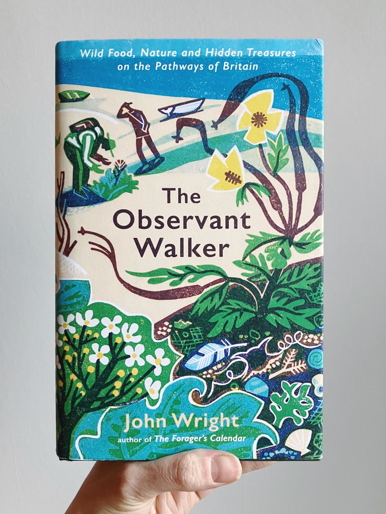 The book "The Observant Walker" by John Wright. The cover features a multi-colored lino print artwork of a beach, with two human figures studying a plant in the background. The plants depicted in the foreground are bold and graphic with yellow flowers, and tealy blue and green dominate much of the artwork, with the sand a light peachy-pink.