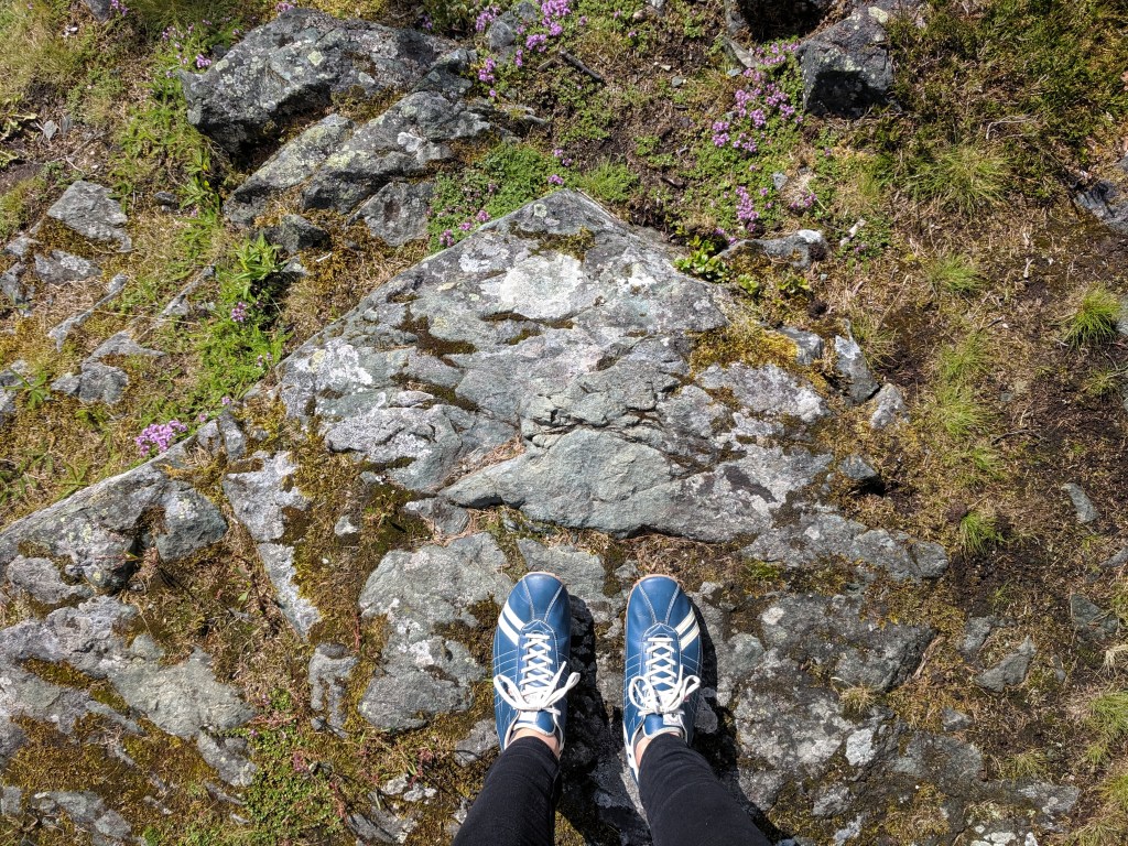 wandrian & thoughts on walking