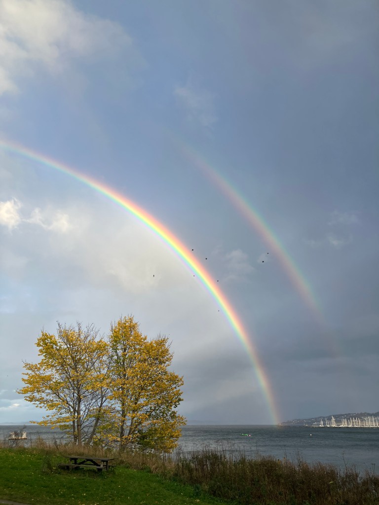A bright double rainbow over Trondheim fjord. The lower rainbow is a fuller arc, framing a tree with bright yellow leaves in the bottom left corner.
